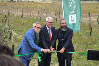 Impianto Agrivoltaico a Vizzini in Sicilia