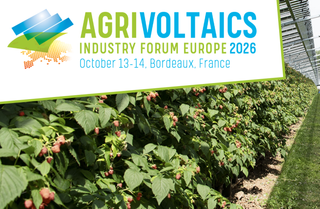 agrivoltaico campo con ovini e pannelli solari