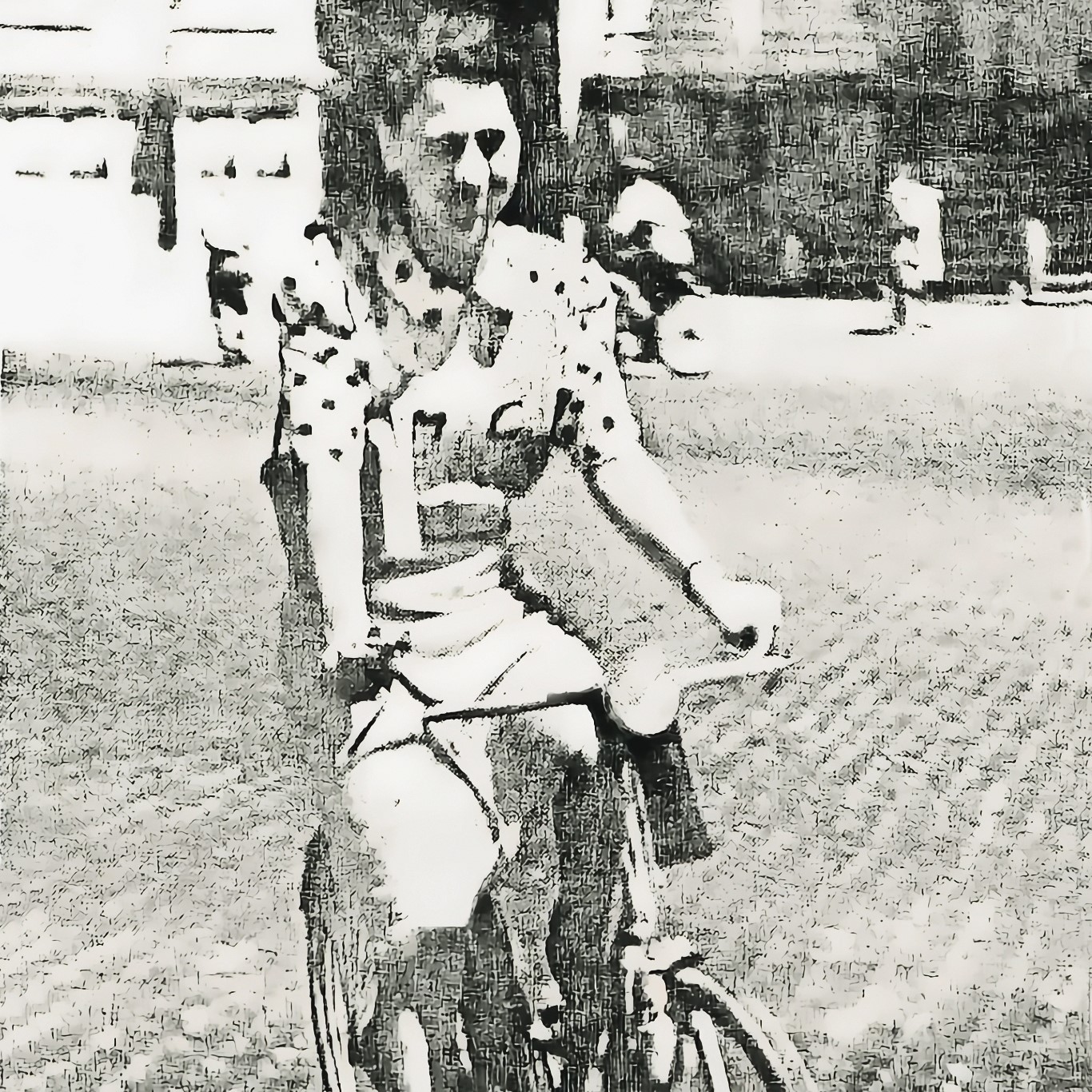 Matilde Cestelli