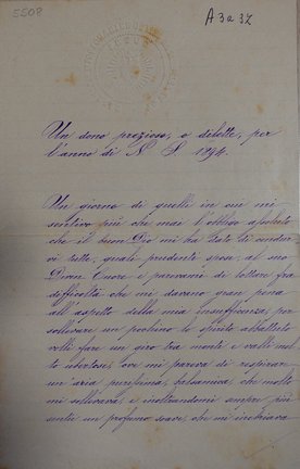 Media e Risorse su Madre Cabrini