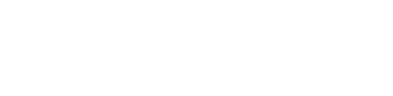 Logo Paypal color white