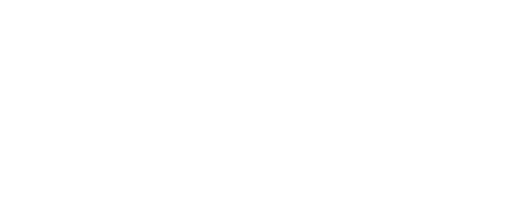Logo Stripe color white