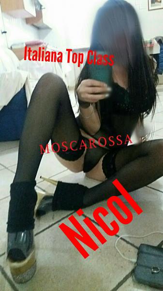 Nicol
