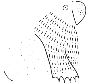 iboreali