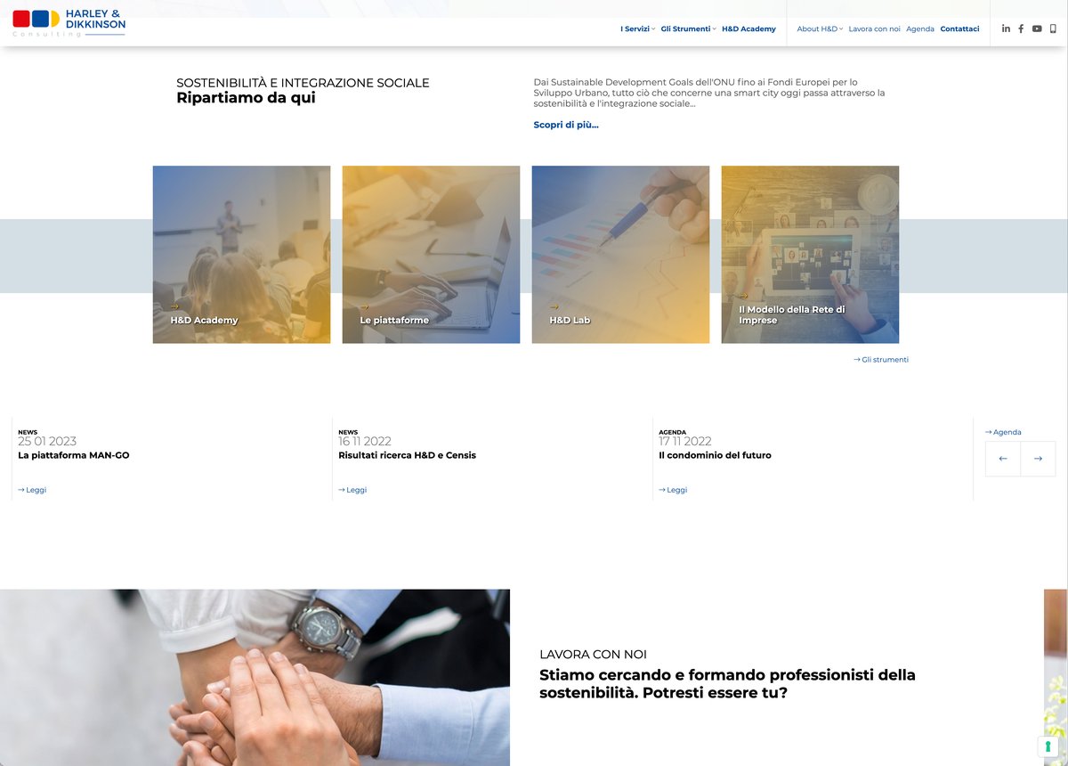 HARLEY & DIKKINSON CONSULTING