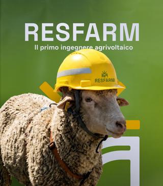 Bea