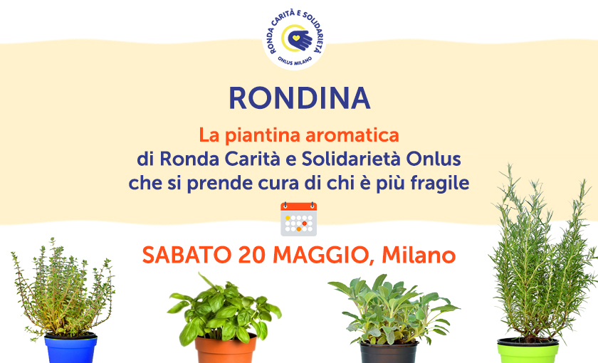 Immagine Arriva nelle piazze "La rondina"