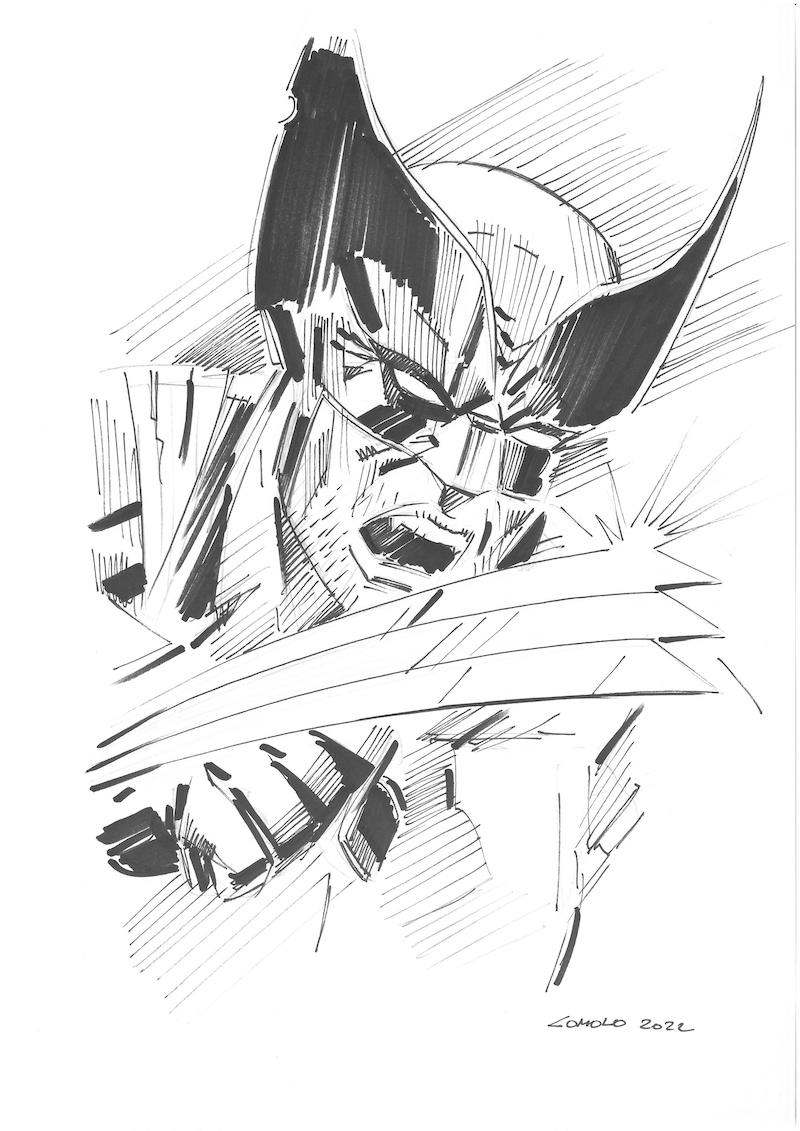 Wolverine di Giorgio Comolo