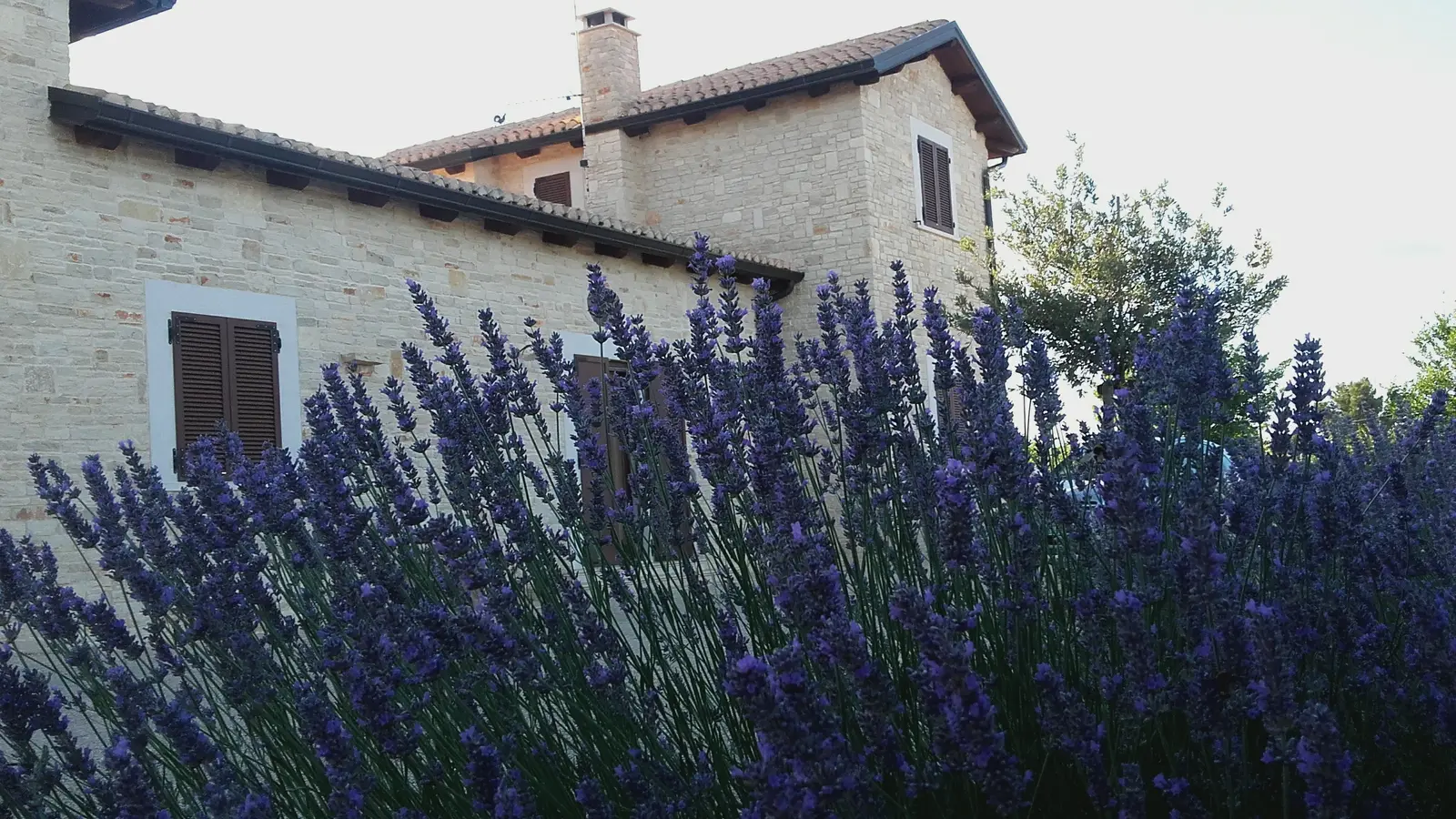 Casale Querce e corti