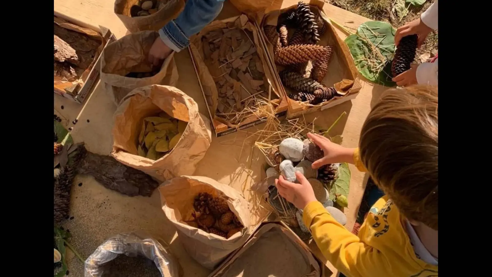 Laboratori creativi di Fiordifiaba - 6-11 anni . Frequenza libera